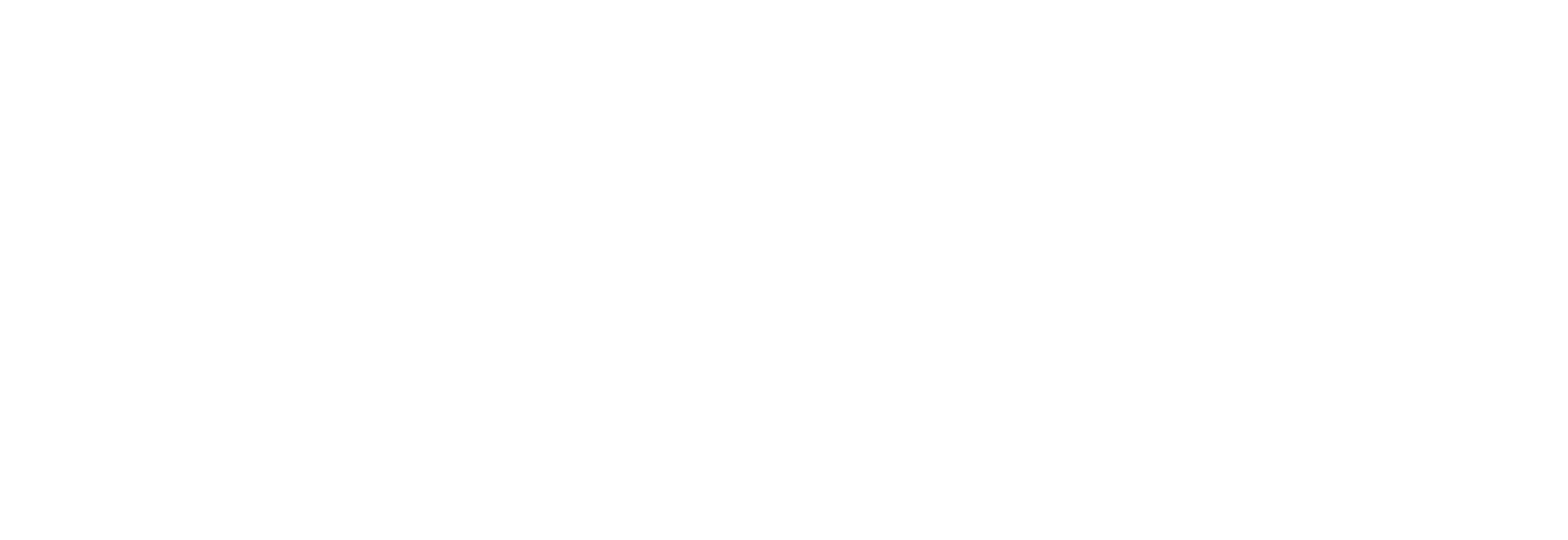 Logo TELNETS